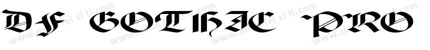 DF GOTHIC PRO 6 W12字体转换